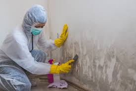 Best Industrial Mold Remediation  in Hays, NC